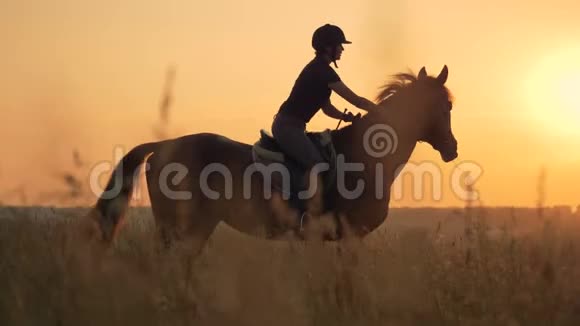 女人在田野里骑马侧面看人与动物的爱情观念视频的预览图