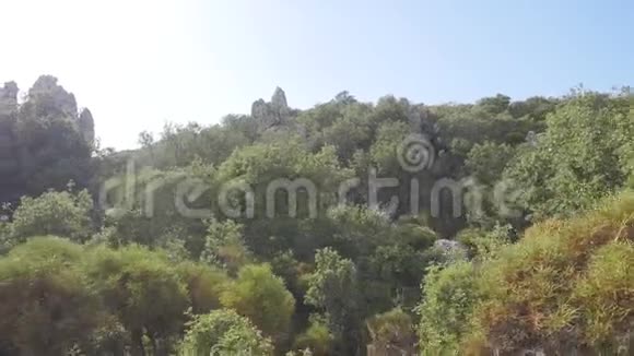 橄榄林景观与古堡遗址背景视频的预览图