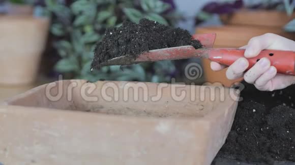 用手在有生长介质或土壤的植物铲子上视频的预览图
