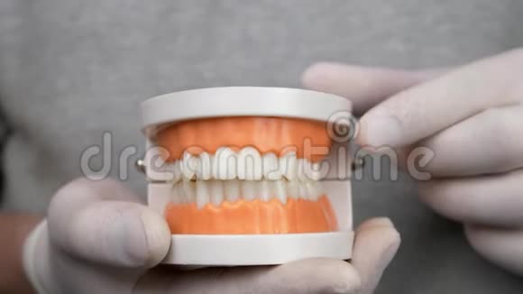戴白手套的牙医展示了牙龈和牙齿的教学模式视频的预览图