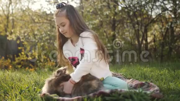 小女孩在绿色的草坪上玩一只棕色的兔子视频的预览图