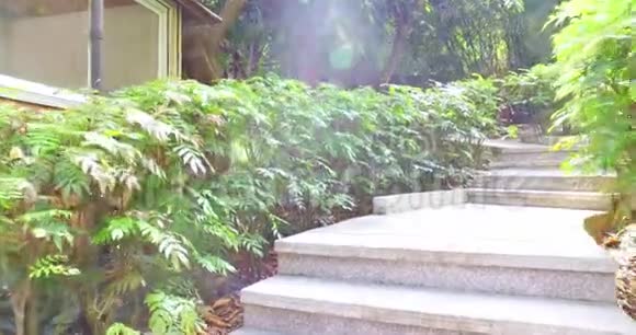 爬上石阶周围有美丽的植物视频的预览图