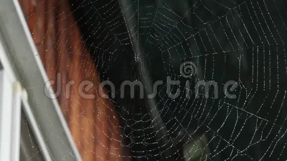 木屋窗户上蜘蛛网上的露水视频的预览图