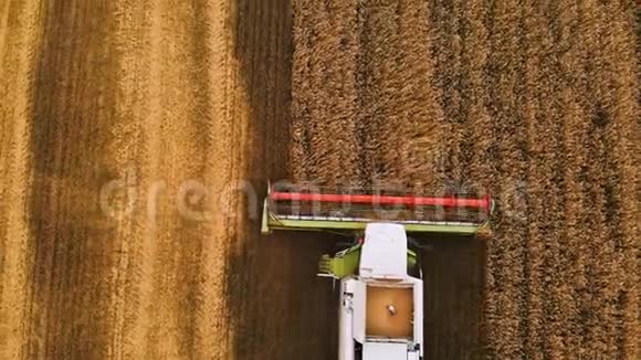 近距离空中视野4k分辨率现代联合收割机收集成熟的小麦留下一团灰尘视频的预览图