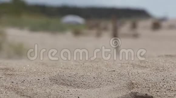 沙尘暴沙滩上的沙子视频的预览图
