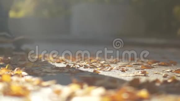 玩滑板的家伙的腿特写公脚滑板在公园的落叶上视频的预览图