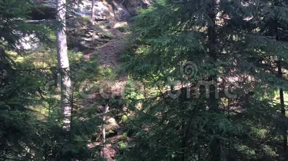 捷克瑞士国家公园大岩石裂口视频的预览图