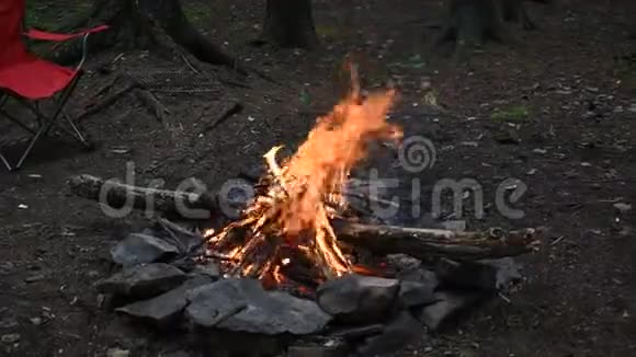 云杉旋钮营火是一种平静的噼啪声视频的预览图