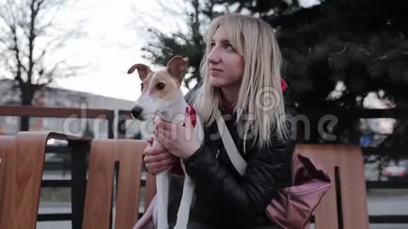 快乐的宠物主人和她的狗正坐在长凳上摆姿势女人爱抚一只狗视频的预览图
