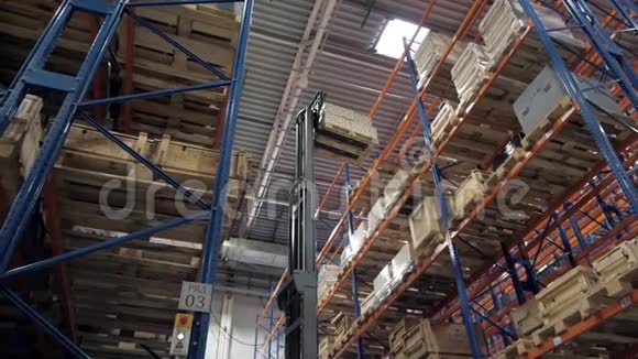仓库工人司机在统一装载纸板箱由叉车堆垛机装载机家具储存板视频的预览图