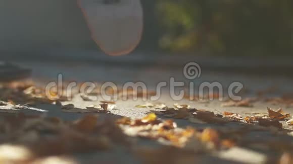 穿着运动鞋的家伙在滑板上跳着特写阳光下落叶背景上的滑板视频的预览图