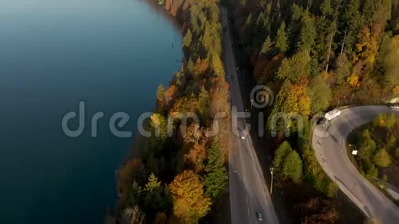 在秋天森林之间的一条路上一辆汽车沿着这条路飞驰而过视频的预览图