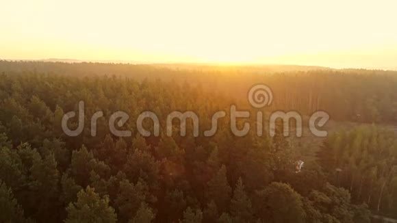 森林风景空中拍摄自然天际线日出视频的预览图