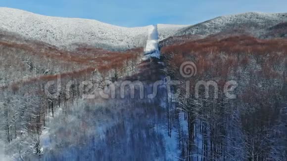 空中翱翔于雪山之上的冬日山林中覆盖着荒野的积雪视频的预览图