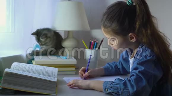 可爱的女孩和她的宠物猫玩而不是做家庭作业视频的预览图