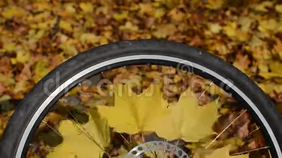 秋天阳光明媚的一天有黄枫叶的自行车轮视频的预览图
