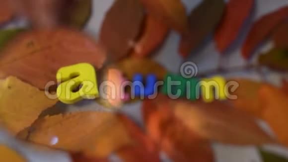 字秋透过放大镜黄色叶子上的彩色字母视频的预览图