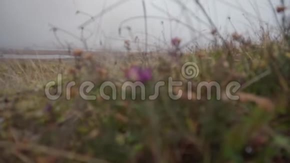 格伦科的雾气弥漫的秋季景观全景视频的预览图
