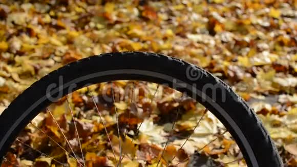 秋天阳光明媚的一天有黄枫叶的自行车轮视频的预览图