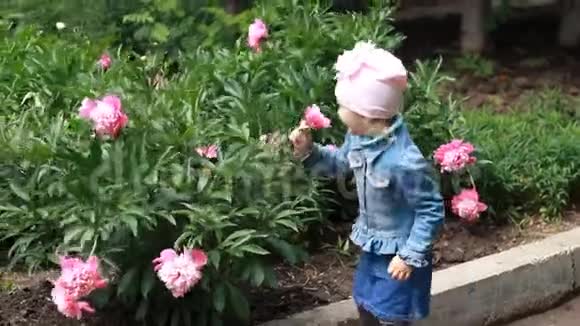 童女嗅着牡丹花的香气打喷嚏儿童过敏症视频的预览图