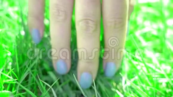 女人手触绿草音乐录像慢动作视频的预览图