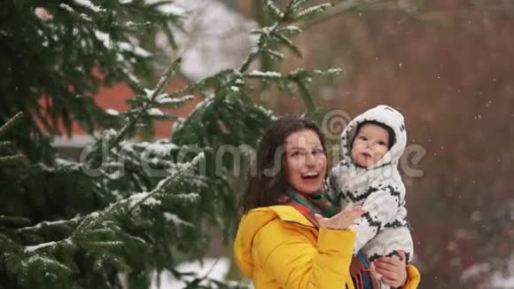 母子对杉树附近公园里的第一场雪很佩服那个女孩穿着一件黄色的羽绒服孩子视频的预览图