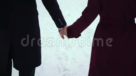 中年夫妇牵着手走在冬季公园里视频的预览图