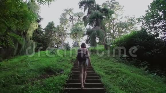 女孩沿着石阶爬上山坡穿过针叶林和热带树木视频的预览图