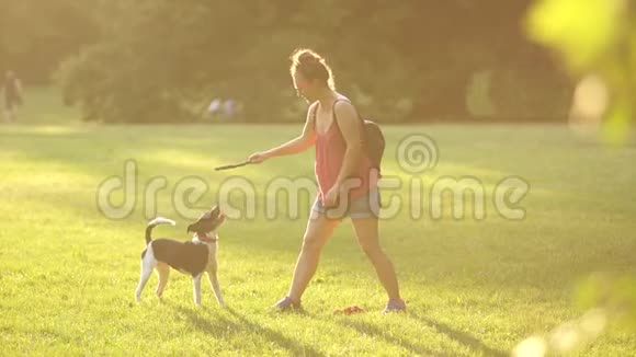 带着狗在公园散步的女孩一只狗带着一根棍子给它的主人狗训练公园里的日落夏天视频的预览图