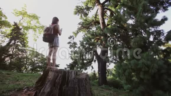 女孩带着袋子在树桩上旅行打电话给针叶树拍照视频的预览图