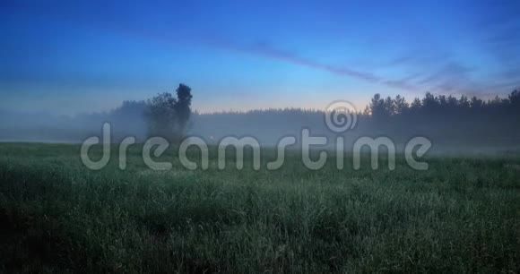 黄昏时分雾在田野上移动视频的预览图