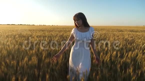女人带着金色的小麦穿过田野环保小麦美丽的女孩穿过田野视频的预览图