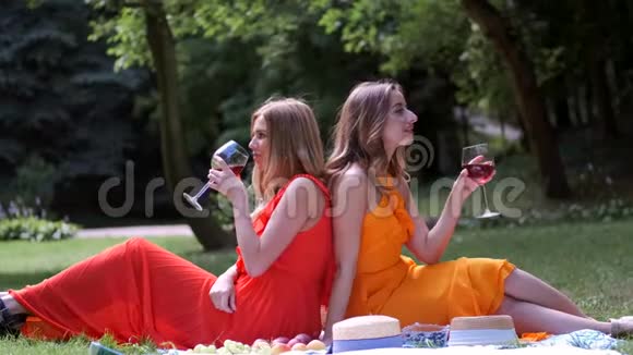 女孩们坐在后面在公园野餐视频的预览图
