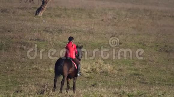 骑着马在绿色的田野上奔驰后景慢动作视频的预览图