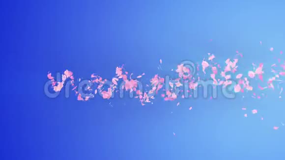 螺旋状闪亮的樱花颗粒樱花图案日本樱桃舞粉红色花瓣的漩涡循环动画视频的预览图