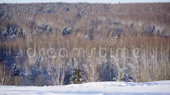 在阳光明媚的日子里在高山滑雪场里快乐地坠入爱河冬季体育假日关系爱情圣诞节生活方式视频的预览图