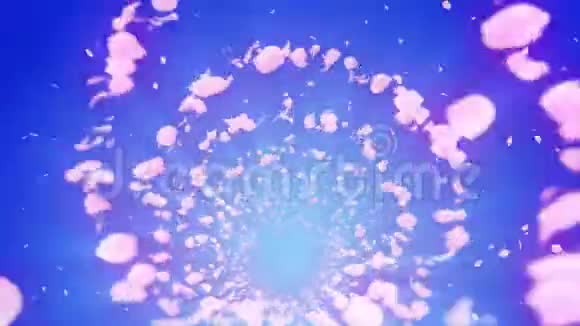 螺旋状闪亮的樱花颗粒樱花图案日本樱桃舞粉红色花瓣的漩涡循环动画视频的预览图