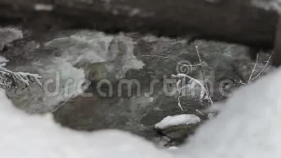 在斯洛莫的冬天喀尔巴阡山脉的木树干下流淌着一条奔腾的小跑道视频的预览图