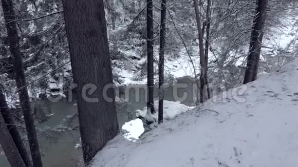 从喀尔巴阡山脉一个陡峭的斜坡上看到的童话般的溪流在冬天的斯洛文尼亚视频的预览图