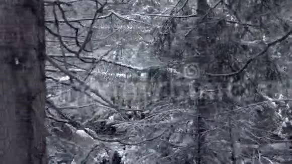 斯洛莫一条细细的小河在雪松覆盖的丘陵河岸间流过视频的预览图