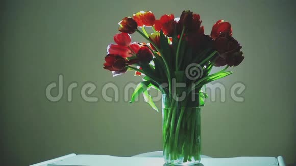 花瓶里放着一大束郁金香视频的预览图
