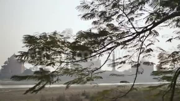 泰姬陵在树枝后面录像正在播放视频的预览图