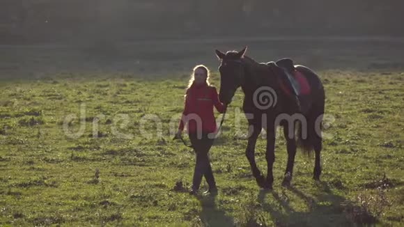 女孩带着一匹棕色的种马穿过草地慢动作视频的预览图