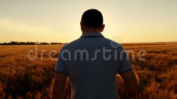 一位年轻成功的农民在日落的背景下缓慢地走着麦田的概念视频的预览图