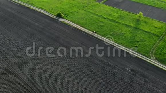 春天日落时分女人骑着一匹棕色的马在乡间的田野里飞驰年轻女子骑着海湾马鸟儿视频的预览图