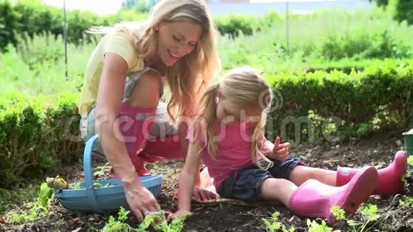 母亲和女儿在分配上选择萝卜视频的预览图