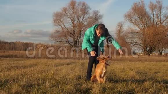 十几岁的女孩在秋天的草地上玩狗一家人在秋天和一只狗在公园散步视频的预览图