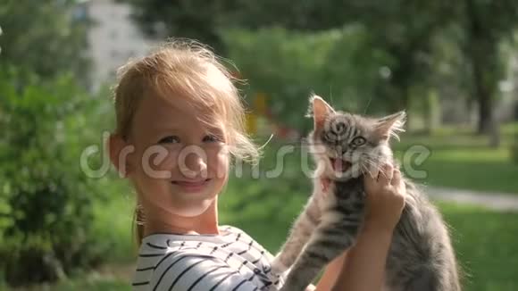 可爱的小女孩金发女孩和小猫女孩在夏天公园和猫玩视频的预览图