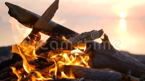 篝火晚会水沙滩海上日落视频的预览图