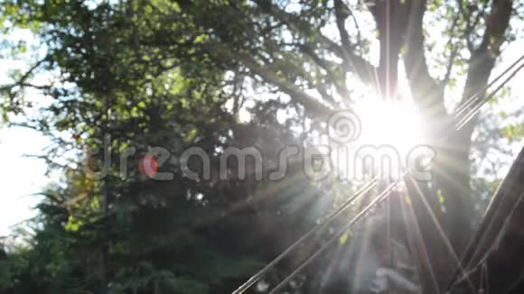 一个宁静的露营场景篝火烟雾在阳光下穿过树木视频的预览图